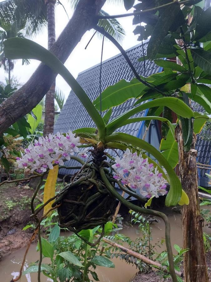 Homestay Nam Ham Luong Ben Tre Buitenkant foto